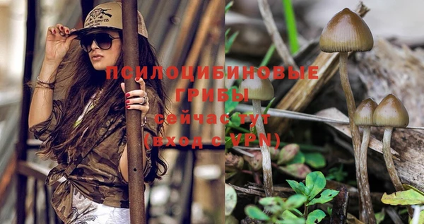 соль курить ск Абинск